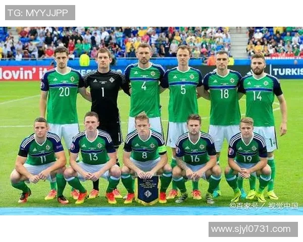 爱尔兰与波兰足球历史交锋记录分析及比分回顾