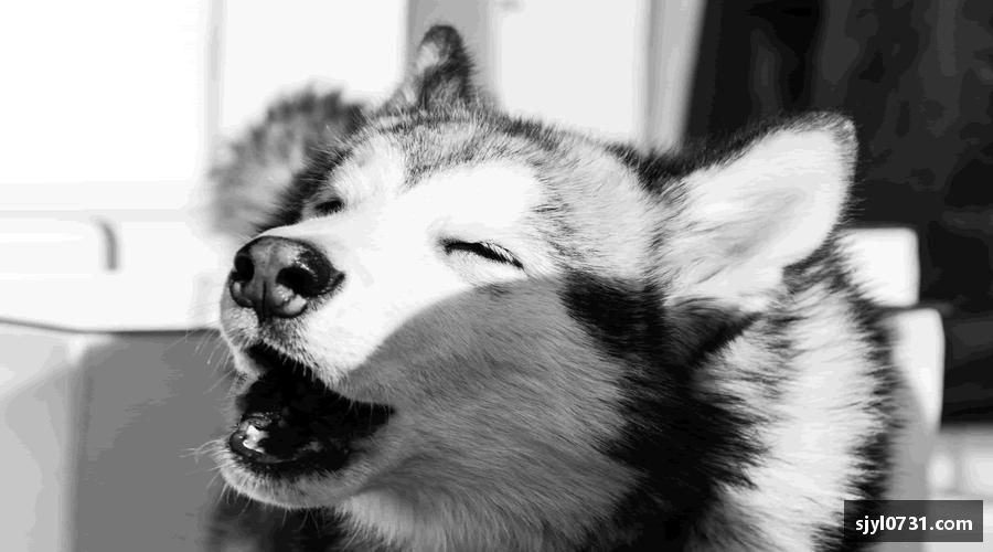 认识好博(中国)体育智能科技股份有限公司网站